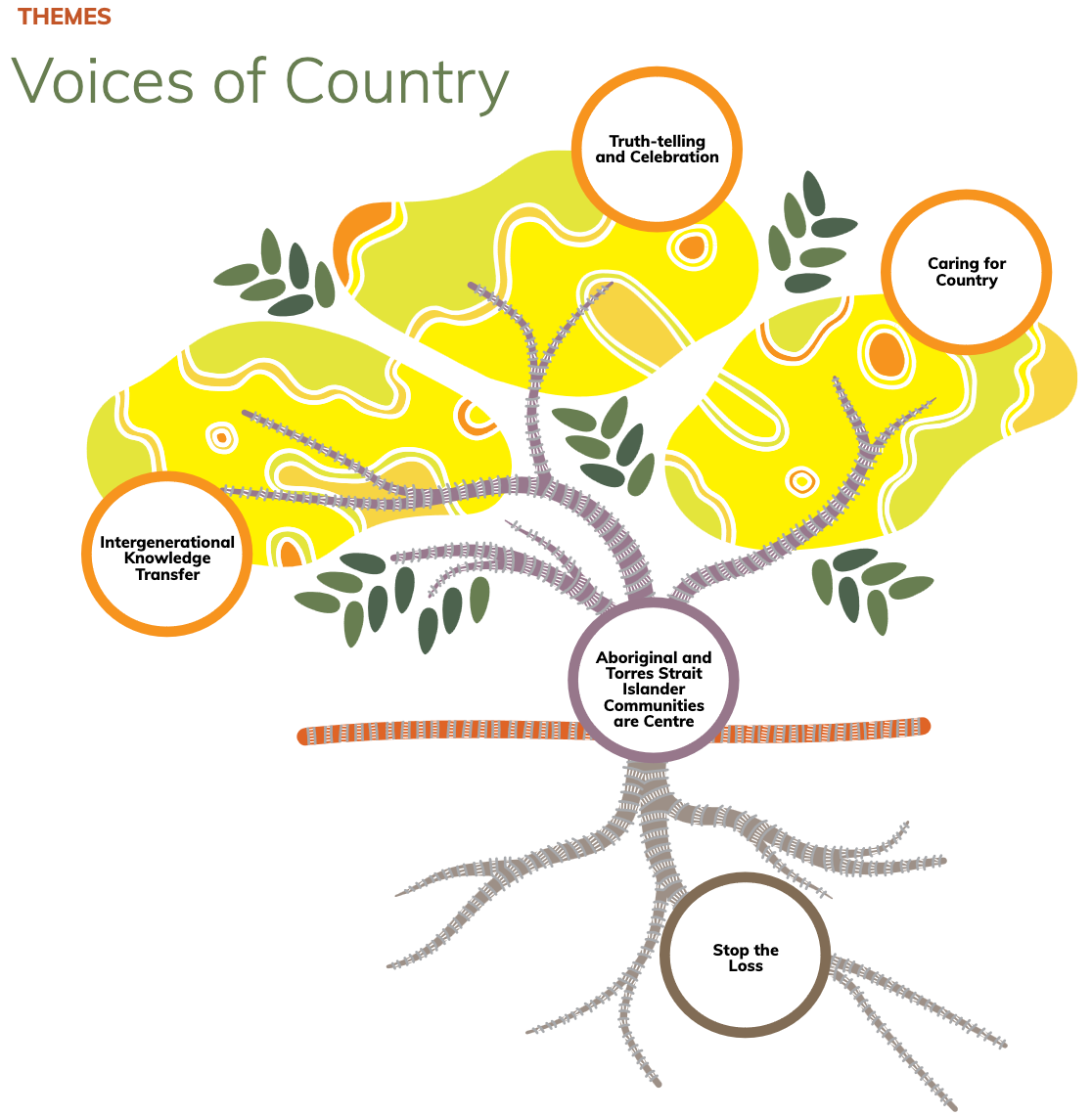 Voices of Country is guided by five inter-connected themes, represented as a native wattle tree, itself a source of food, medicine and tools, with language, culture and traditional knowledges as its foundation.